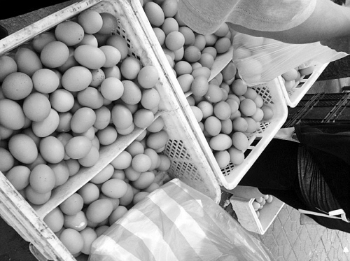 　　八一农贸市场的蛋价已涨至4.8元/斤