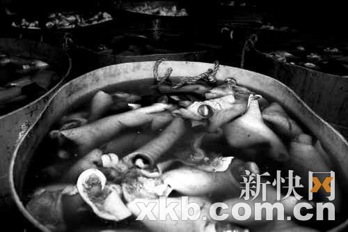 　　■浸泡在化学溶液里的食材。