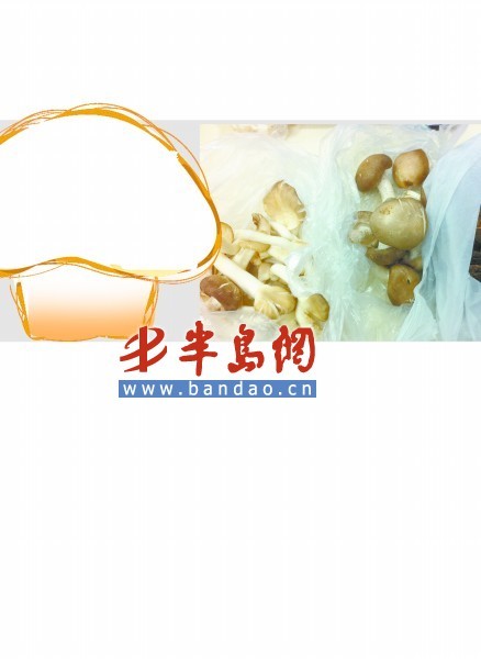 　　记者从市场上买回来的几种崂山蘑菇