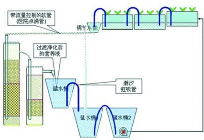 纸箱和木箱也是盛水高手。