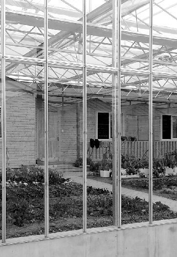 图为“开心农场”。