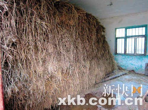 ■部分存放饲料的仓库地面还有水迹。 