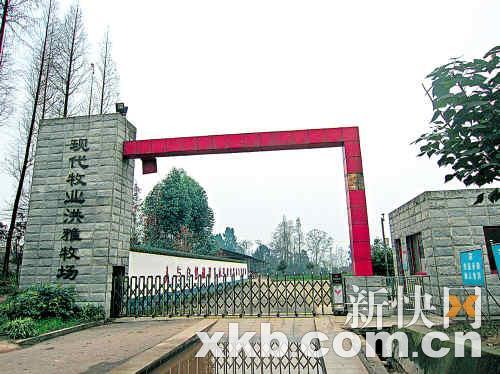 ■现代牧场也被业内视为“问题奶”最可疑的来源之一。 