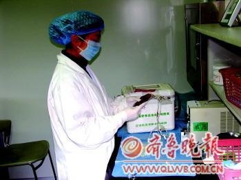 在山东，目前只有一家合法的脐血库。(资料片)