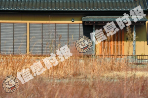 　　由于住户搬离，广野町内一处新建民房门前长满荒草。