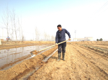 　　位于夏津县宋楼镇的鑫秋种业育种基地上，农民正在浇地。