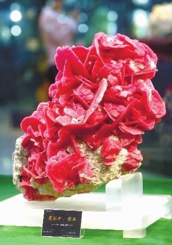 走，去省地博馆看天价石头 