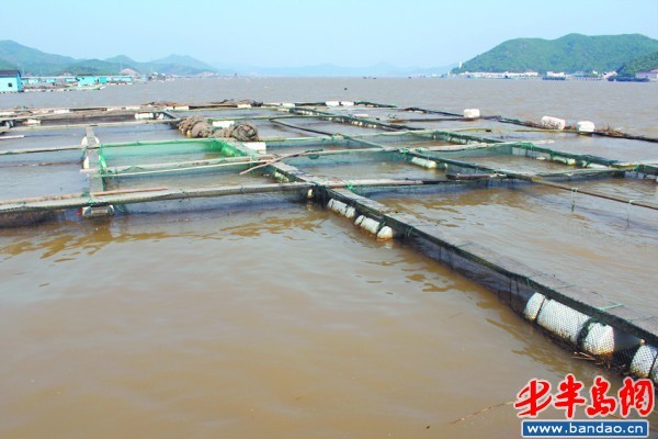 　　象山县周边海域的海水水质发黄
