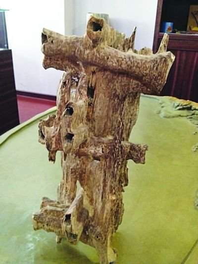 “越南蚁沉”。