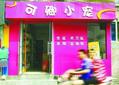 　　本报记者 卢 虹