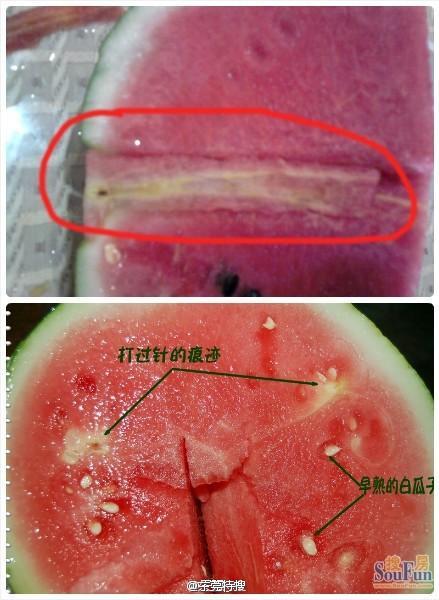 　　<b>网友所发疑似“打针西瓜”</b>