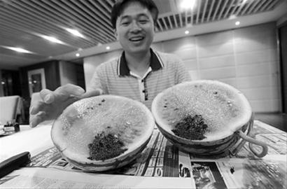 　　被注入的染色液体不能被西瓜吸收，集中在注射处 晚报 何雯亚 现场图片