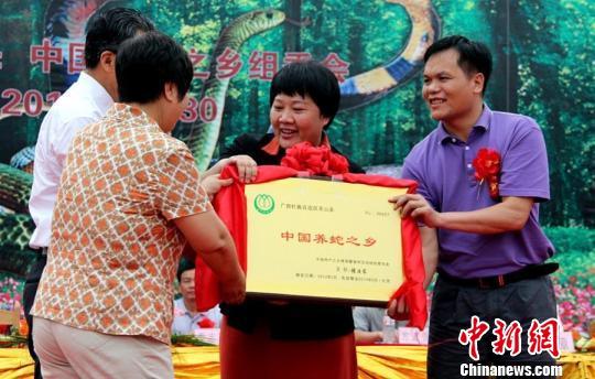 图为中国特产之乡组委会授予广西钦州市灵山县“中国养蛇之乡”荣誉牌匾。　邓蕾雅 摄