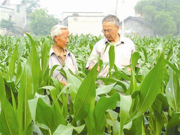 　　□佐霞 特约记者 赵晓兰 文/图