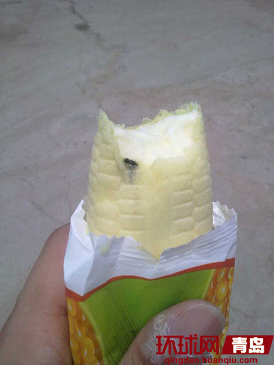 苍蝇躺在雪糕里面