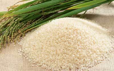 　　1916年春天的北京，能买25斤大米