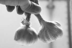 　　这两年农产品价格着实把老百姓逗够呛 记者 张鹏飞 摄