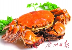 　　大闸蟹是中国人的佳肴，在欧洲却被视为“入侵者”。 （资料图片）