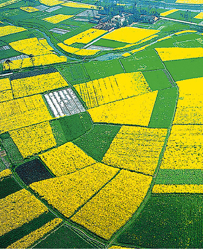 　　四川都江堰灌区。 