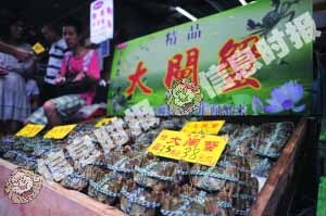 　　昨日在黄沙水产市场，大闸蟹已上市。　　信息时报记者 陈文杰 摄
