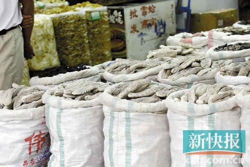 一德路海产品市场上售卖的海参。新快报记者毕志毅/摄