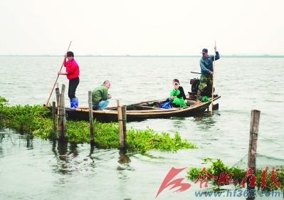 游客和蟹农一起出湖捕蟹
