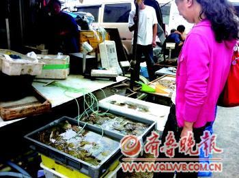 　　　螃蟹价格已从一个周前的35元一斤，涨到50元一斤。　孙芳芳 摄