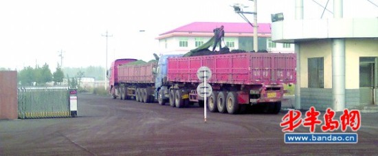 　　往年排队拉煤的场景，今年罕见了。