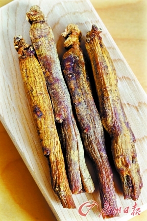 　　野山参收藏门槛较高。 记者王维宣 摄