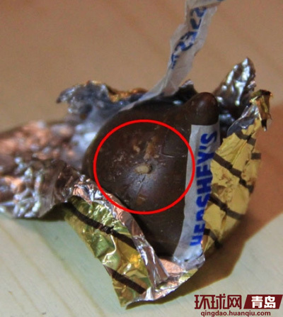 巧克力上的虫子清晰可见