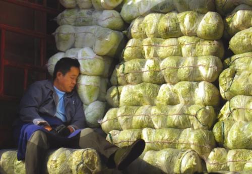 　　周谷堆蔬菜批发市场，一名商贩坐在装满大白菜的车厢里睡着了。