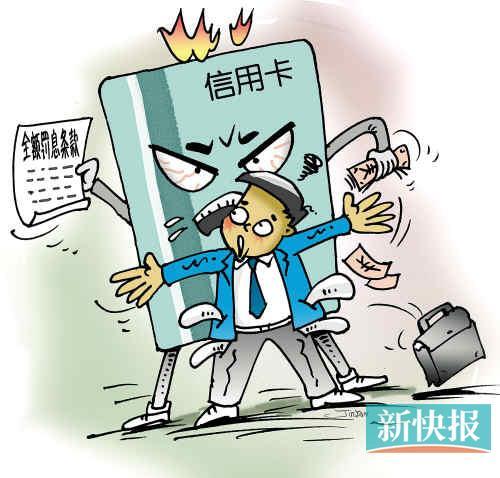　　CFP供图