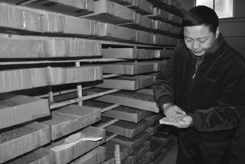 　图为村委委员李善平在查看示范场生产情况。