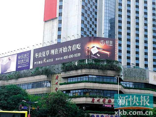 　　■广州最繁华的天河体育西路上，面对体育中心的黄金位置树立着硕大的极草广告牌。见习记者柯强/图