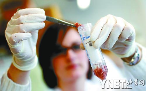 2月18日，德国工作人员对肉糜样品进行检测新华/路透