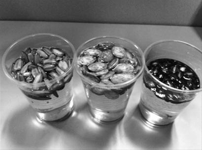 浸泡30分钟，绿茶瓜子杯子（左一）里已经明显看到了掉色迹象，而其他两个杯子里的水也开始变得发黄。 记者 赵玲玲 摄