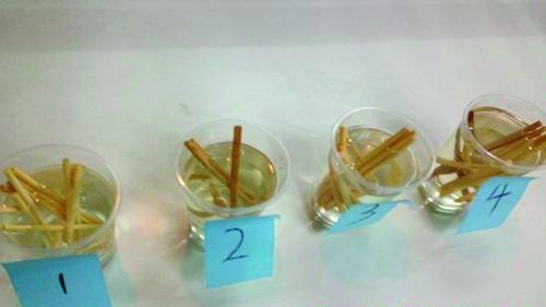 一次性筷子实验