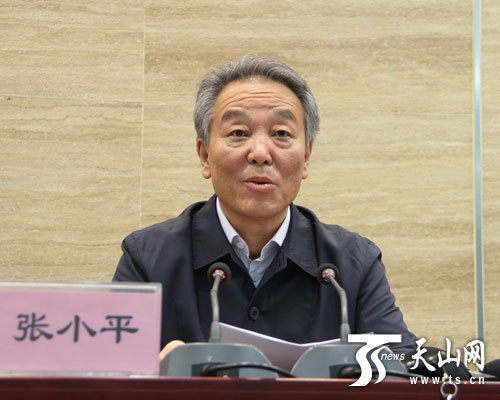 图为自治区政府副秘书长张小平讲话。(图片来源：天山网)