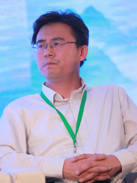 “第五届地坛论坛”于2014年6月9日在北京举行。上图为汉能控股集团清能投资咨询（北京）有限公司总经理吴宏杰。(图片来源：新浪财经 梁斌 摄)