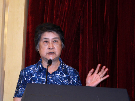 央视大型电视纪录片《互联网时代》开播仪式于8月20日在北京举行。上图为中国互联网协会前任理事长、中国科学院院士胡启恒。(图片来源：新浪财经 刘海伟 摄)