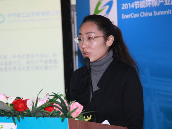 2014节能环保产业高峰论坛暨中国工业节能与清洁生产协会年会于11月27日-29日在北京召开。上图为中节能公司科技部主任宋文华。(图片来源：新浪财经 梁斌 摄)