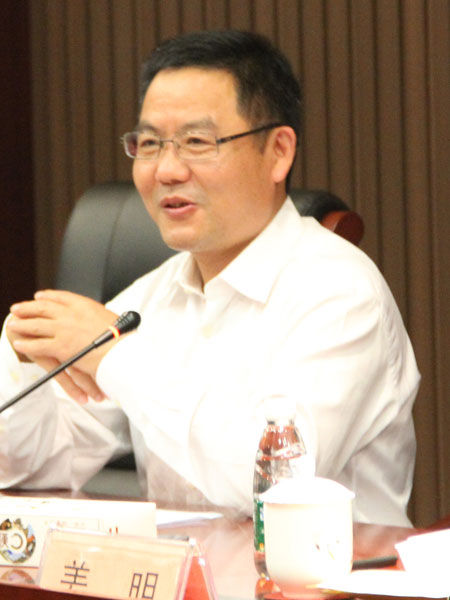 “中国(徐州)战略新兴产业创新峰会暨中关村信息谷创新中心启动仪式”于2015年10月17日举行。上图为徐州市泉山区人民政府区长吴君。(图片来源：新浪财经)