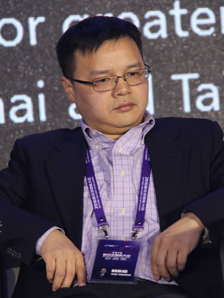 由阿里研究院主办的“2016新经济智库大会”于1月16日在北京举行。上图为清华大学公共管理学院副院长杨永恒。(图片来源：新浪财经)