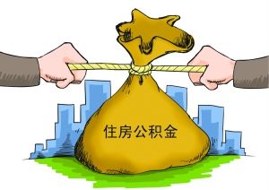 CFP供图
