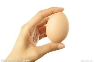 100元人民币在各国能买几个鸡蛋：美华盛顿45个