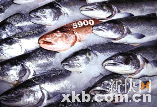 图/张潇指标股发飙沪指冲上5900点7成股票下跌新快报讯(记者 蠡清)