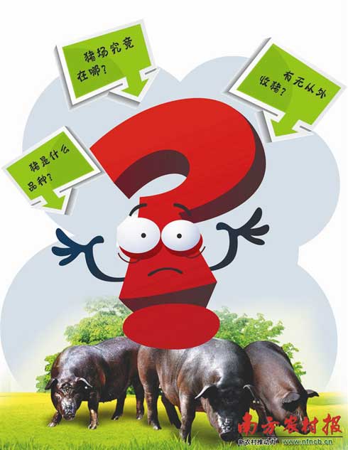 追问土猪制图