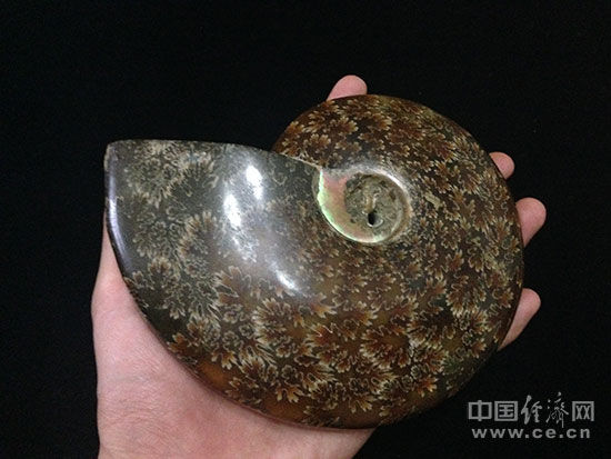 珍品 憧れ 螺化玉 螺化石