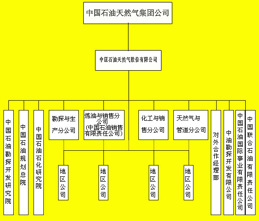 中国石油天然气股份有限公司治理结构(2)