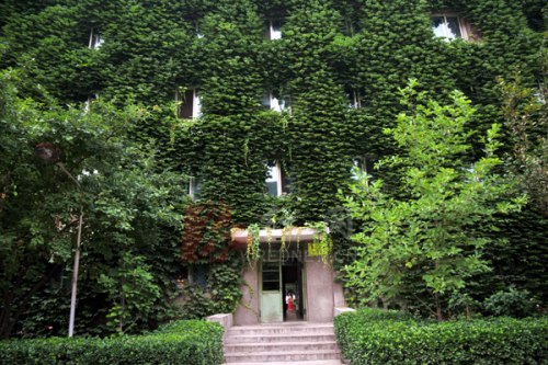 2010年6月27日，北京望京地区被绿色植被包围的某学校学生宿舍。